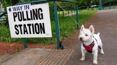 A dog outside of a polling station in Manchester