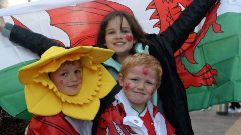 young Wales fans