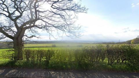 Streetview image of open fields behind a hedge