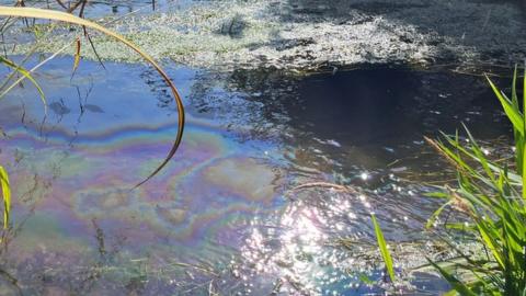 Apparent oil slick in the River Purwell