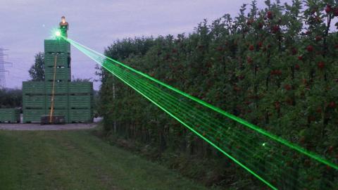 Rat-scaring laser trial to protect crops - BBC News