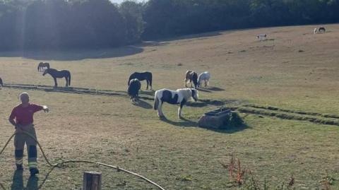 A field where a fireman is holding a water hose and there are several horses in a field with one near a water trough.