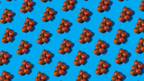 Regular pattern of red vine tomatoes on a blue background