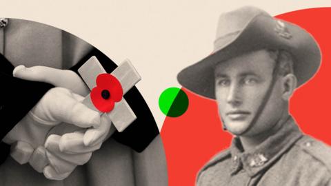 Poppy, cross and veteran