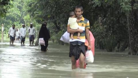 Llifogydd yn Bangladesh