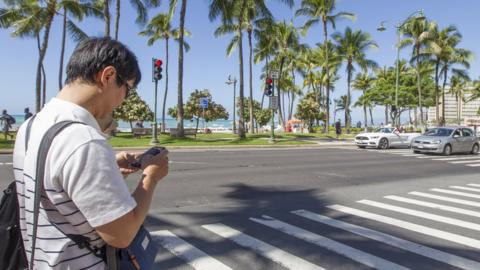 man texting at a zebra crossing in Honolulu