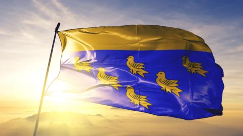 A yellow and blue flag with yellow birds on it with the sun setting behind. 