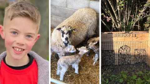 This week we feature a nine-year-old inspirational runner, tiny Leeds-themed hotels for bugs and a "one-in-a-million" event on a Yorkshire farm