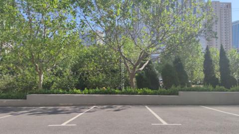 Three concrete parking spaces marked with white lines with trees poking over a wall behind