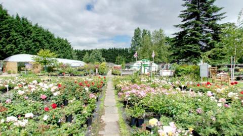 A pretty garden centre surrounded by flowers and big green trees. 