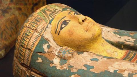 A head of an Egyptian mummy 