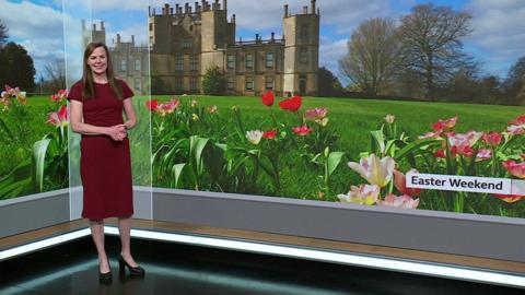 Alexis Green in the BBC South Today studio. She is smiling and wearing a red dress.