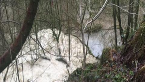 Foaming water seen from above, with a number of tree branches in the foreground