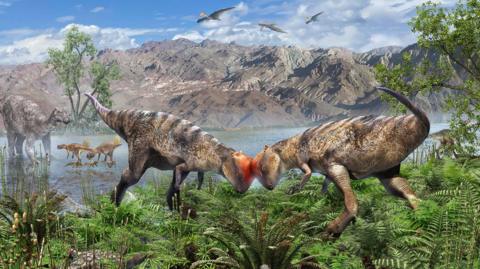 Artists impression of that the new species would have looked it 
