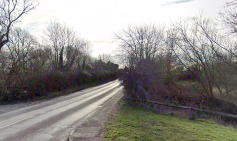 Trees line the edge of Willington Road.