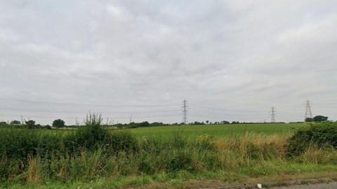 Fields and pylons beyond a hedge