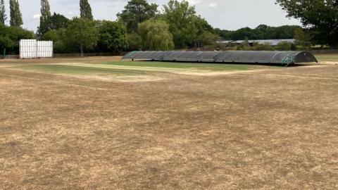 A cricket pitch with dead, brown grass and only patches of green grass int he distance. There are black rain covers on the pitch with green trees in the background