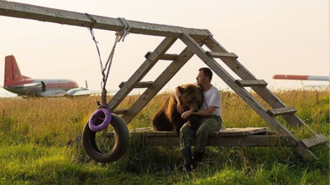 Mansur the Russian bear who lives at an airfield, 2019
