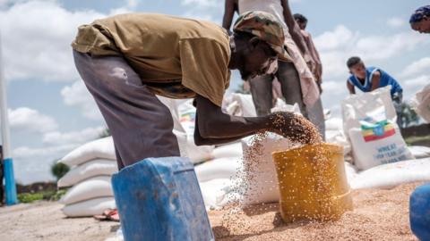 A man puts wheat into a container during a food distribution organized by the Amhara government near the village of Baker, 50 kms South East of Humera, in the northern Tigray Region on July 11, 2021.