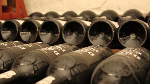Wine bottles in the government's cellar