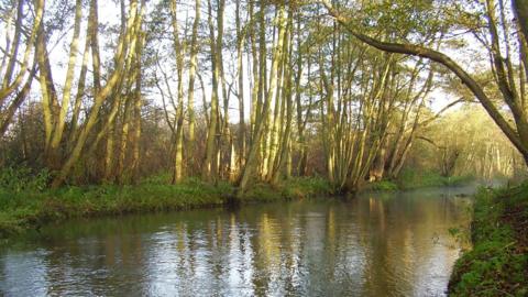 River Bure