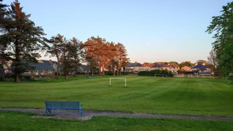 The open green space which has two football nets, there are houses in the background and trees.