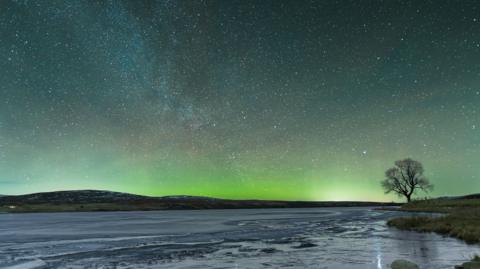 A wide night sky filled with countless stars stretches over a frozen landscape. A soft green glow from the aurora shimmers along the horizon with a tree silhouetted on the right.
