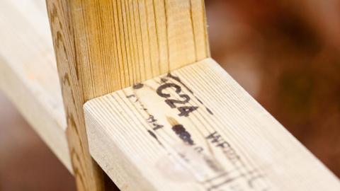 Pieces of wood marked with the C24 certification