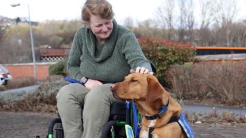 A woman sitting in a wheelchair petting a support dog.