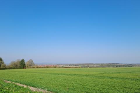 A wide, sunlit countryside scene with a vast green field stretching toward the horizon under a clear blue sky, dotted with a few trees and distant buildings.