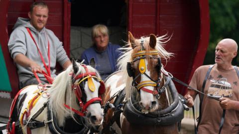 Horses leading a caravan