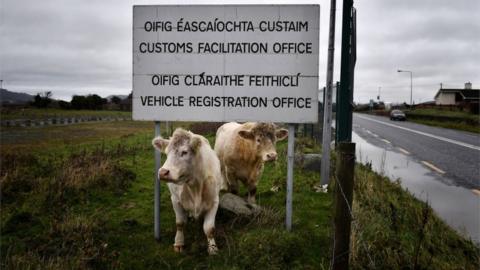 Cows stand beneath a sign for the disused Customs Office along the Irish border