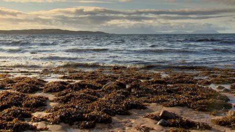 Loch Gairloch