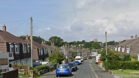 Google image of Woollcombe Aveunue. The residential street is lined with homes. Vehicles are parked on the left side of the street. Lampposts are located in front of a number of the terraced houses. 