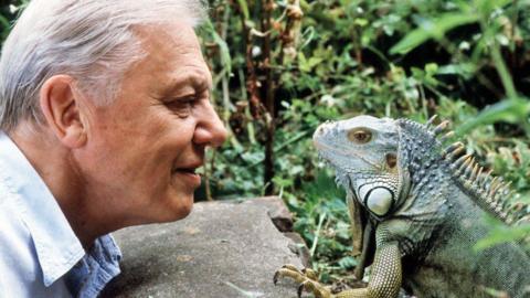 David Attenborough with a lizard