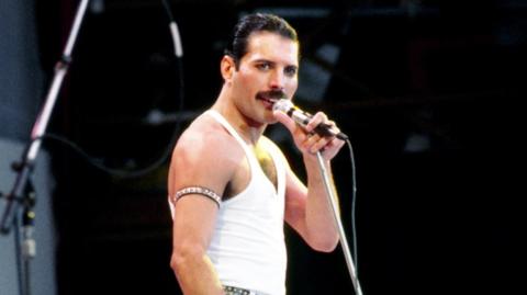 Freddie Mercury on stage holding a microphone attached to a stand