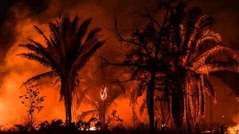 Fire burning along a highway, near Itaituba, Para state, Brazil, September 2019