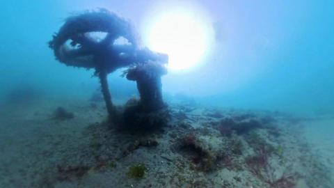 The upright wheel assembly of the wrecked vessel at the bottom of the harbour, covered in sand and marine plants