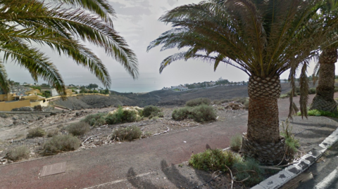 Palm trees in the foregournd with a footpath and behind it a hillside laeding down to the sea. There is a yellow wall surrounding a holiday resort in the distance.