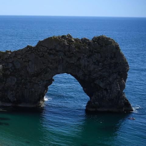 Dorset | Latest News & Updates | BBC News