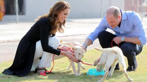 Catherine, Duchess of Cambridge and Prince William, Duke of Cambridge, play with golden labrador puppies Salto and Sky as they visit an Army Canine Centre, in Islamabad on 19 October 2019