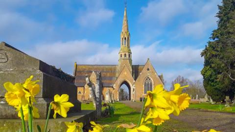 Yellow daffodils blooming in front of a church with a tall spire and mostly blue sky above 