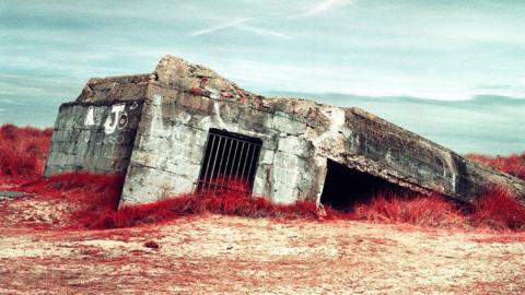 Infrared photograph of a bunker, surrounded by plants and sand