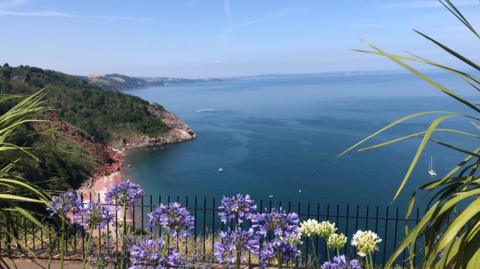 Bright blue sky above headland lined with flowers near the coast 
