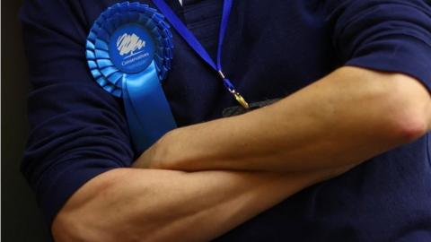 Conservative party rosette