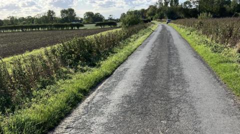 A narrow country road stretches into the distance. The road is bordered by green grass and hedges on both sides - there is a plowed field on the left and vegetation on the right. A car is visible in the distance.