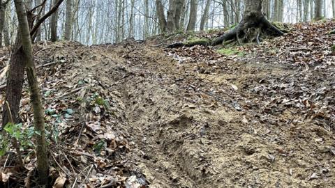 Tyre tracks in a steep, sandy incline set in a leafy, woodland scene