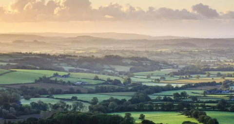 Wide open view of a patchwork of green fields in the Dorset countryside, with hills in the background.