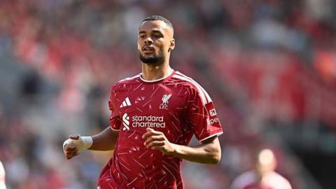 Liverpool forward Cody Gakpo during a Premier League match, with Tottenham interested in signing the Netherlands international