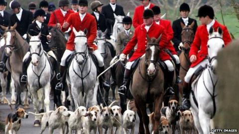 A fox hunt